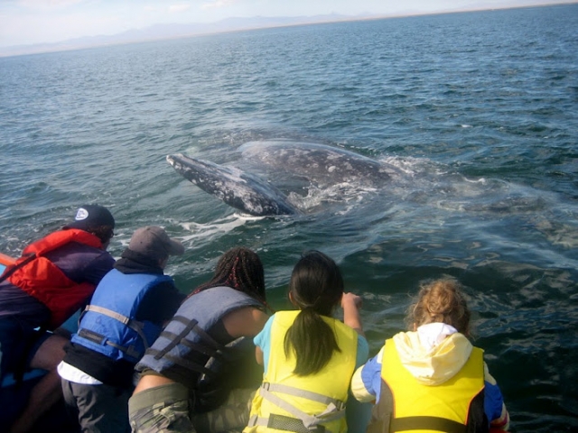  An unforgettable experience